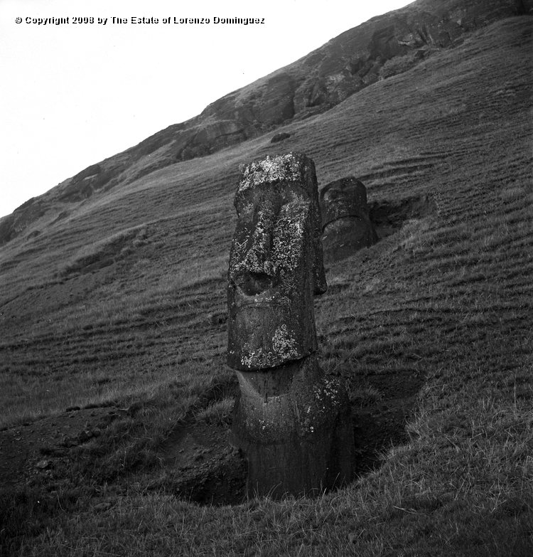 RRE_Angel_17.jpg - Easter Island. 1960. Two moai on the exterior slope of Rano Raraku. On the foreground, the moai identified by Lorenzo Dominguez as "The Angel."
